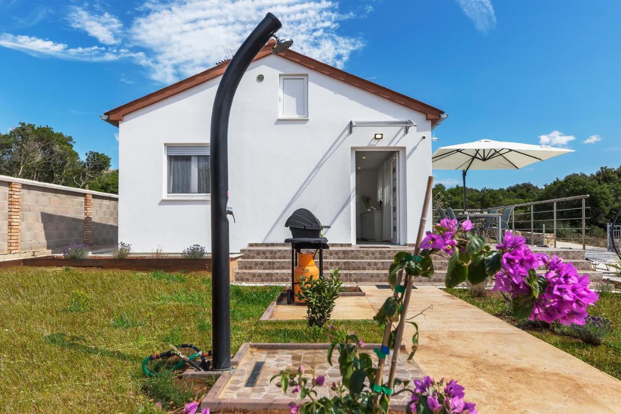 הוילה פרוי House Of Peace מראה חיצוני תמונה